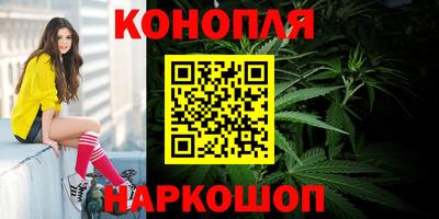 spice Гусев