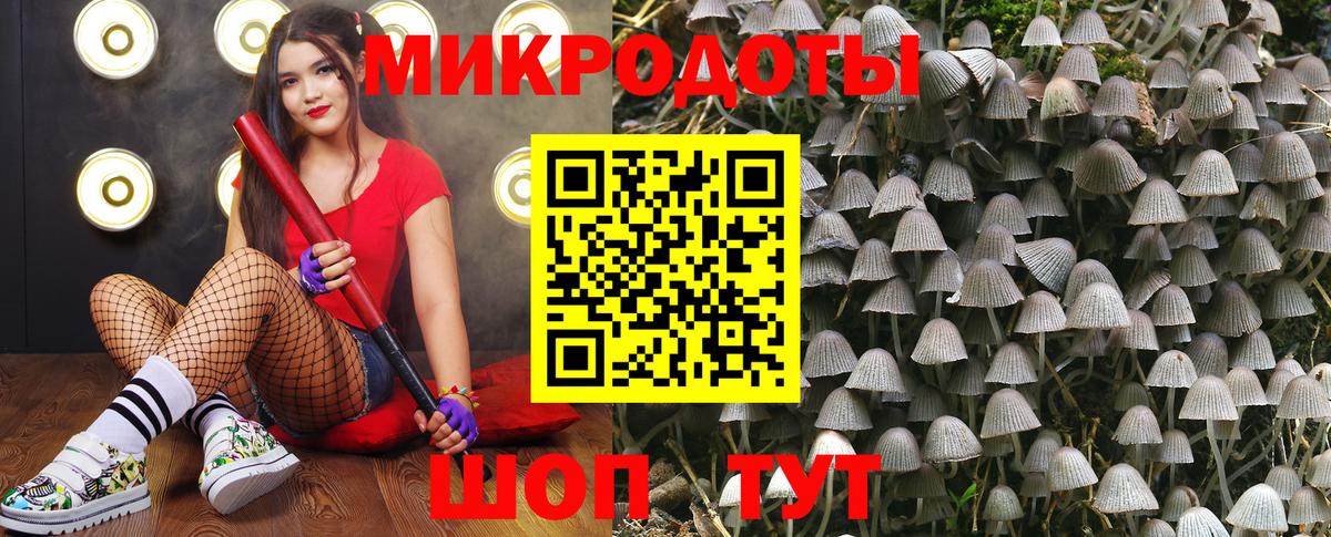 Набережные Челны  Галлюциногенные грибы Psilocybe  Вход с VPN  Псилоцибиновые грибы Psilocybe 